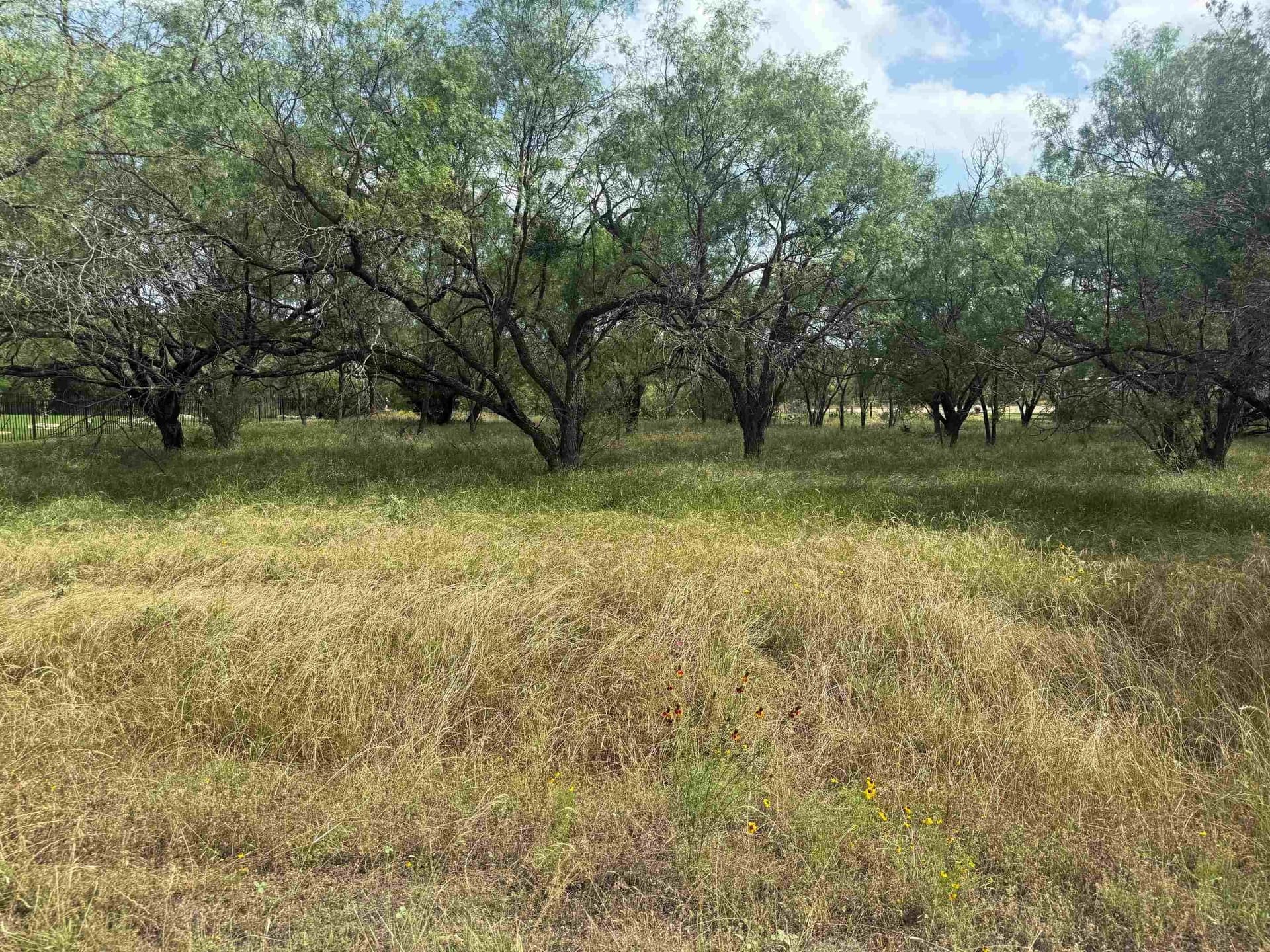 0.24 acres in Llano County - photo 6
