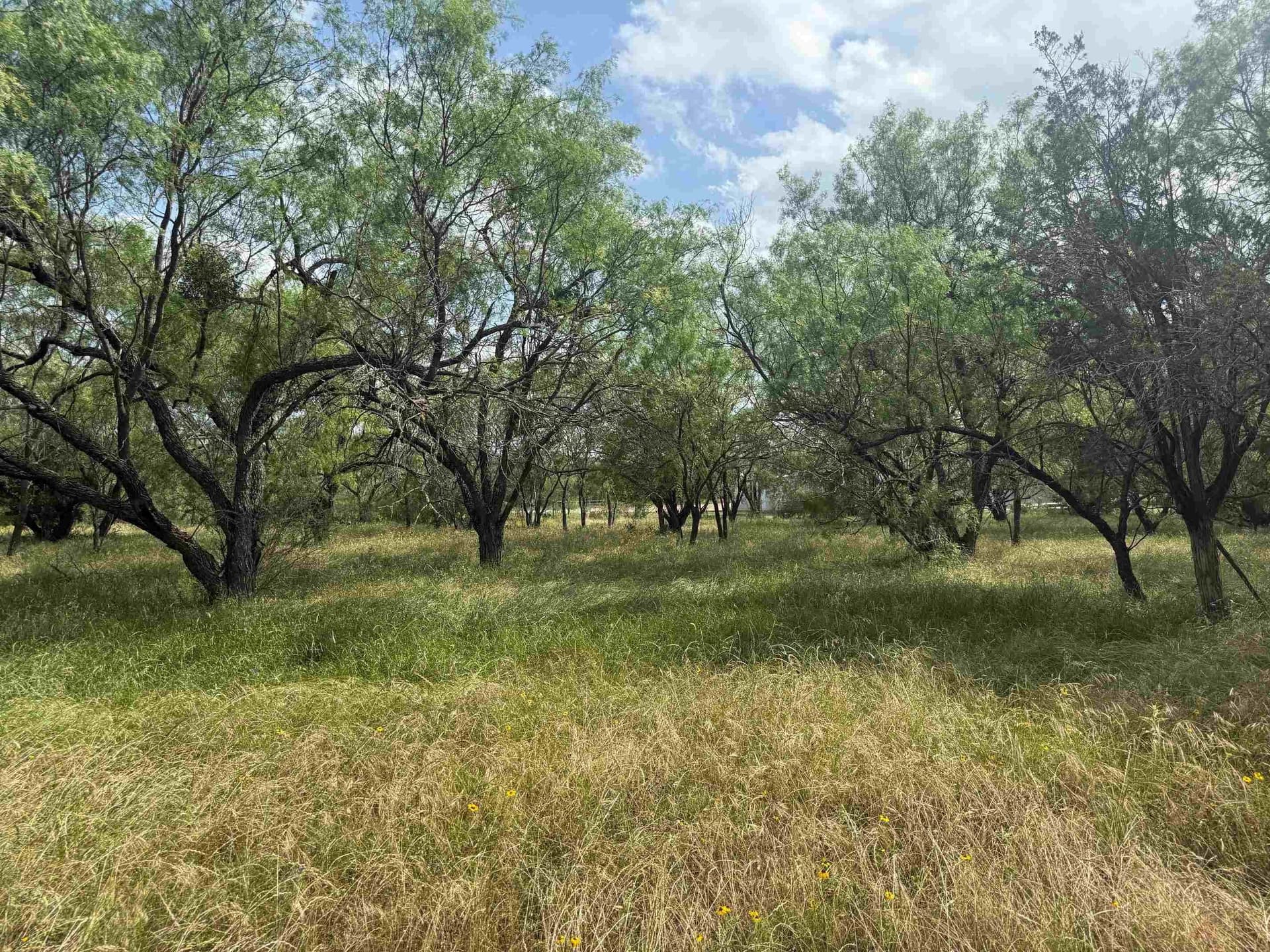 0.24 acres in Llano County gallery image 4