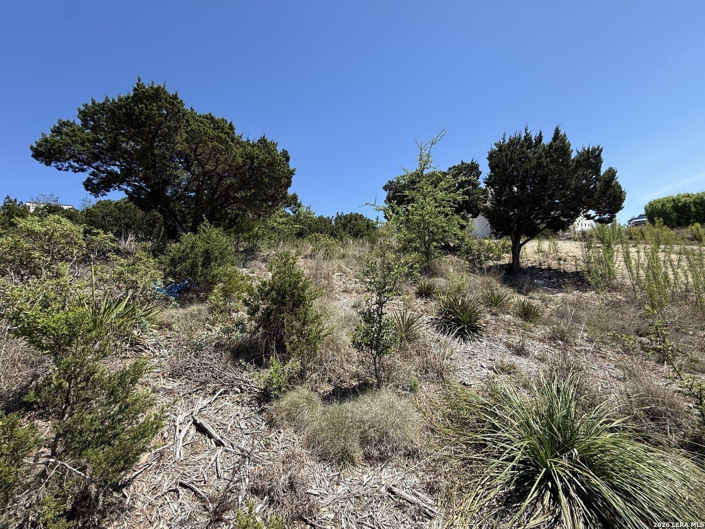 0.54 acres in Bexar County featured view