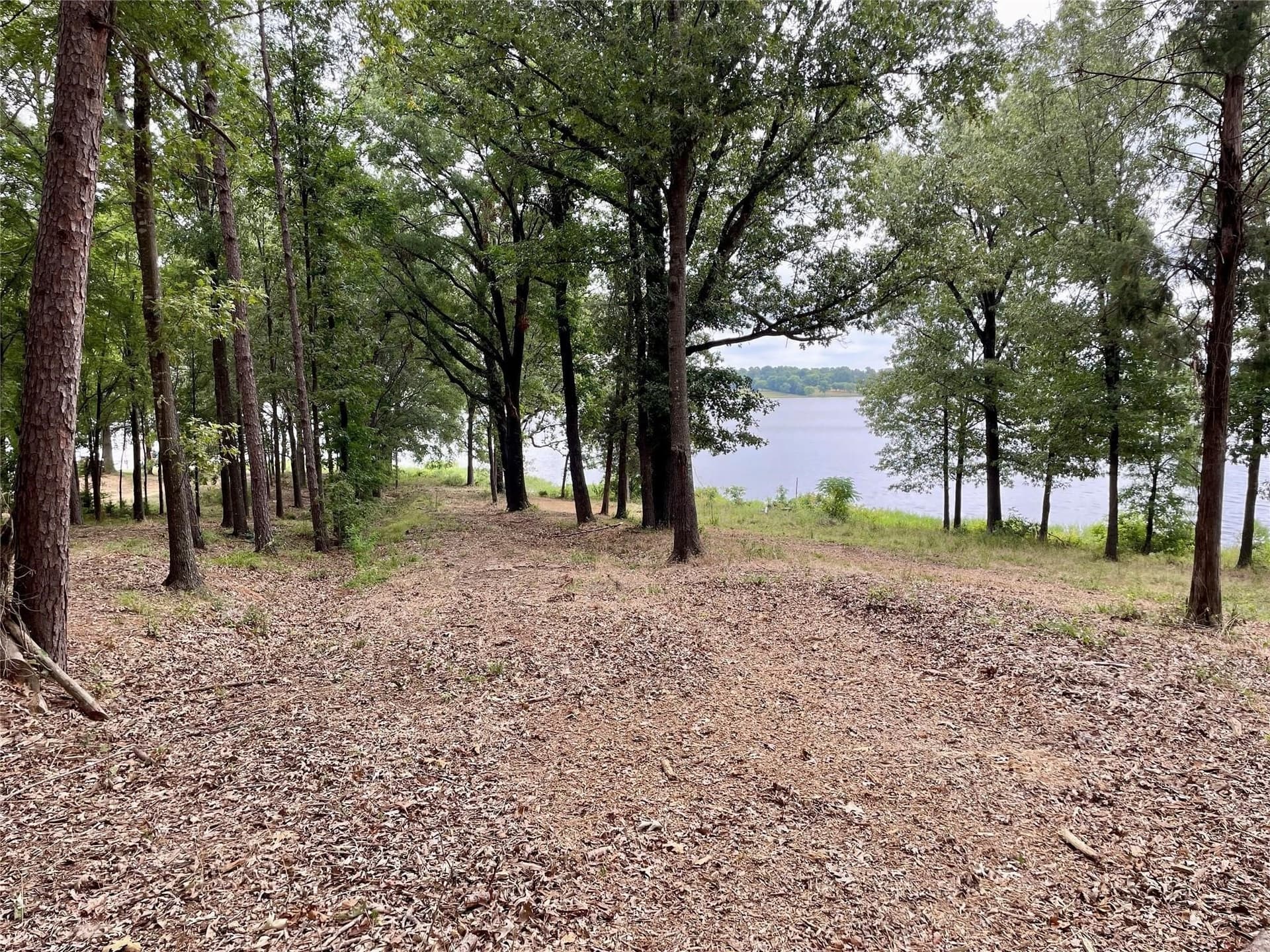 2.53 acres in Franklin (TX) County - photo 5