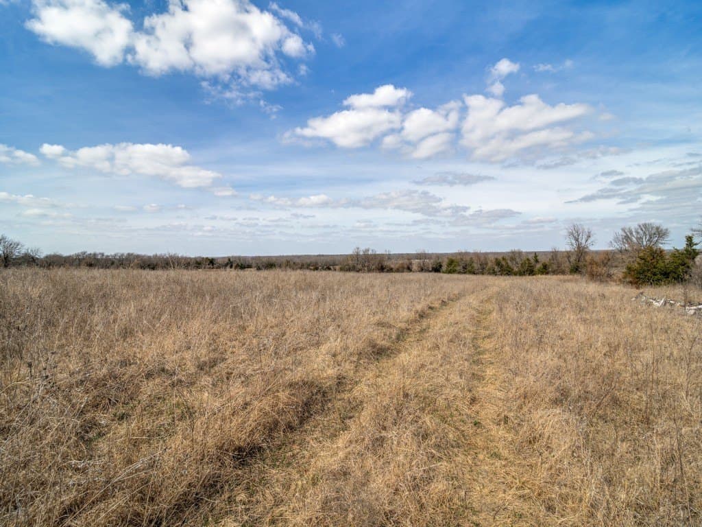 69.8 acres in Delta County - photo 7