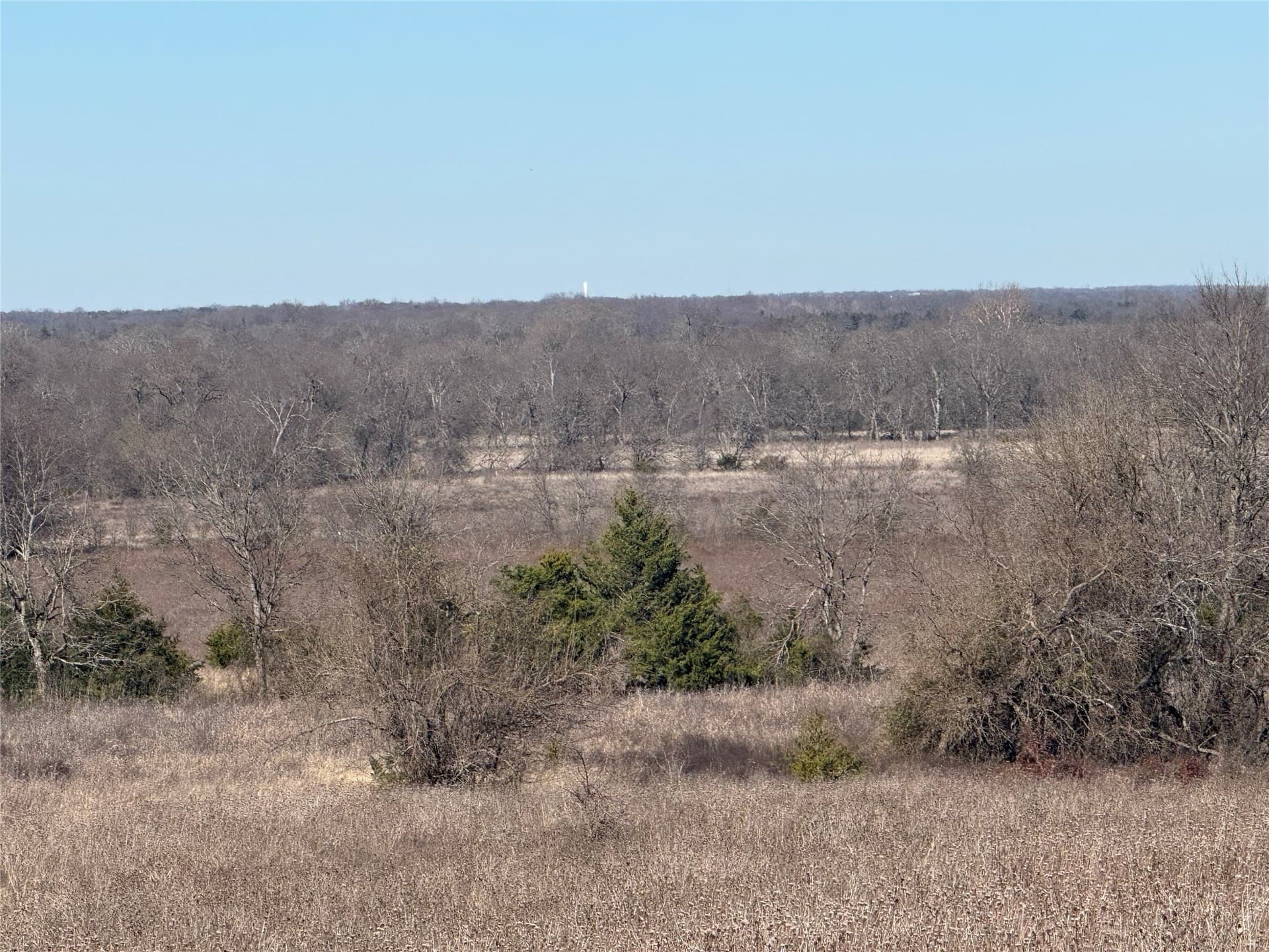 69.8 acres in Delta County - photo 8