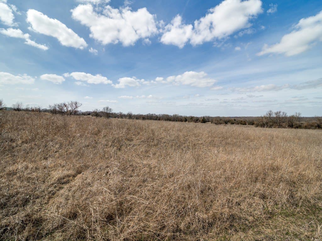 69.8 acres in Delta County - photo 6