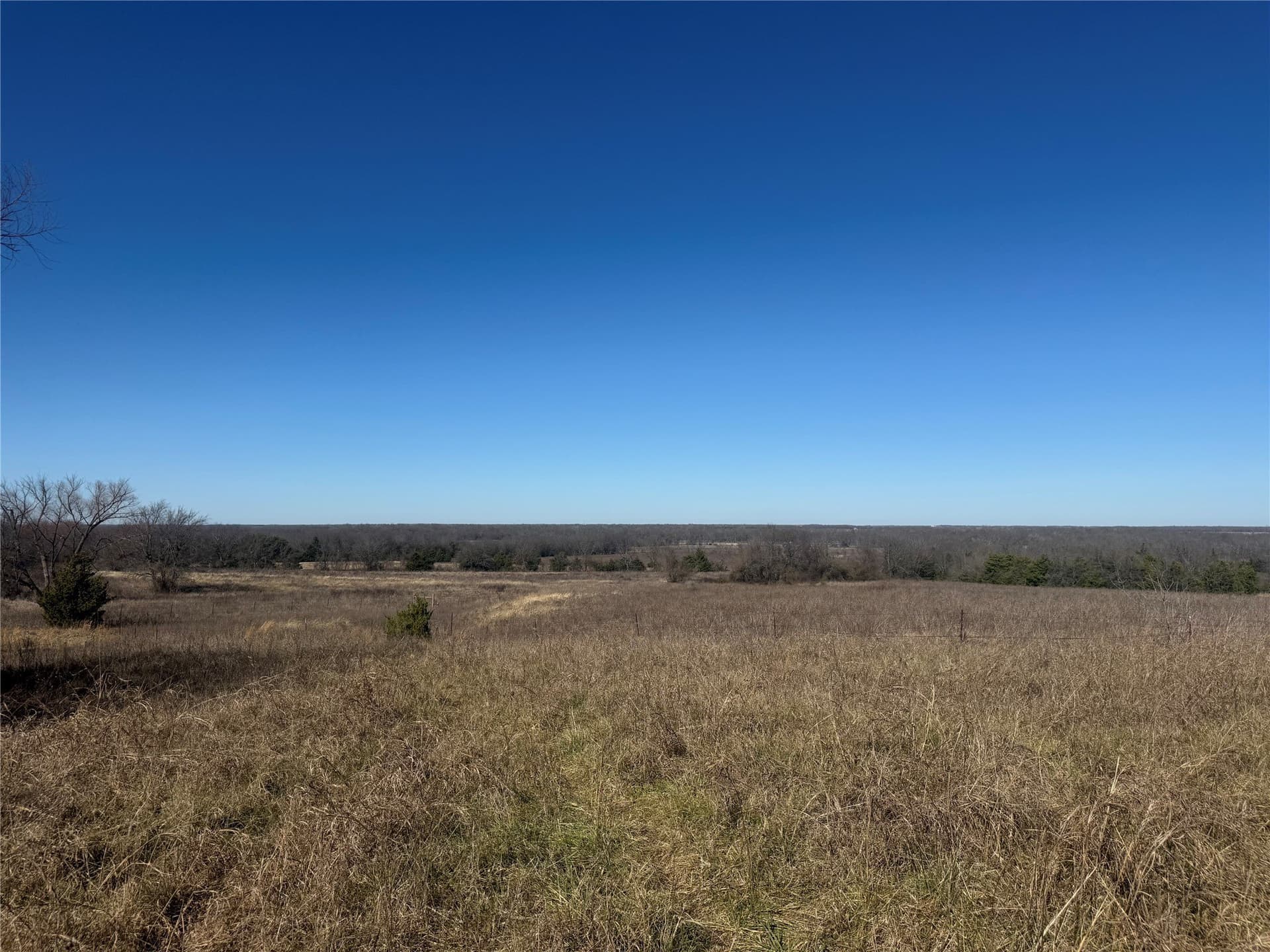 69.8 acres in Delta County - photo 15