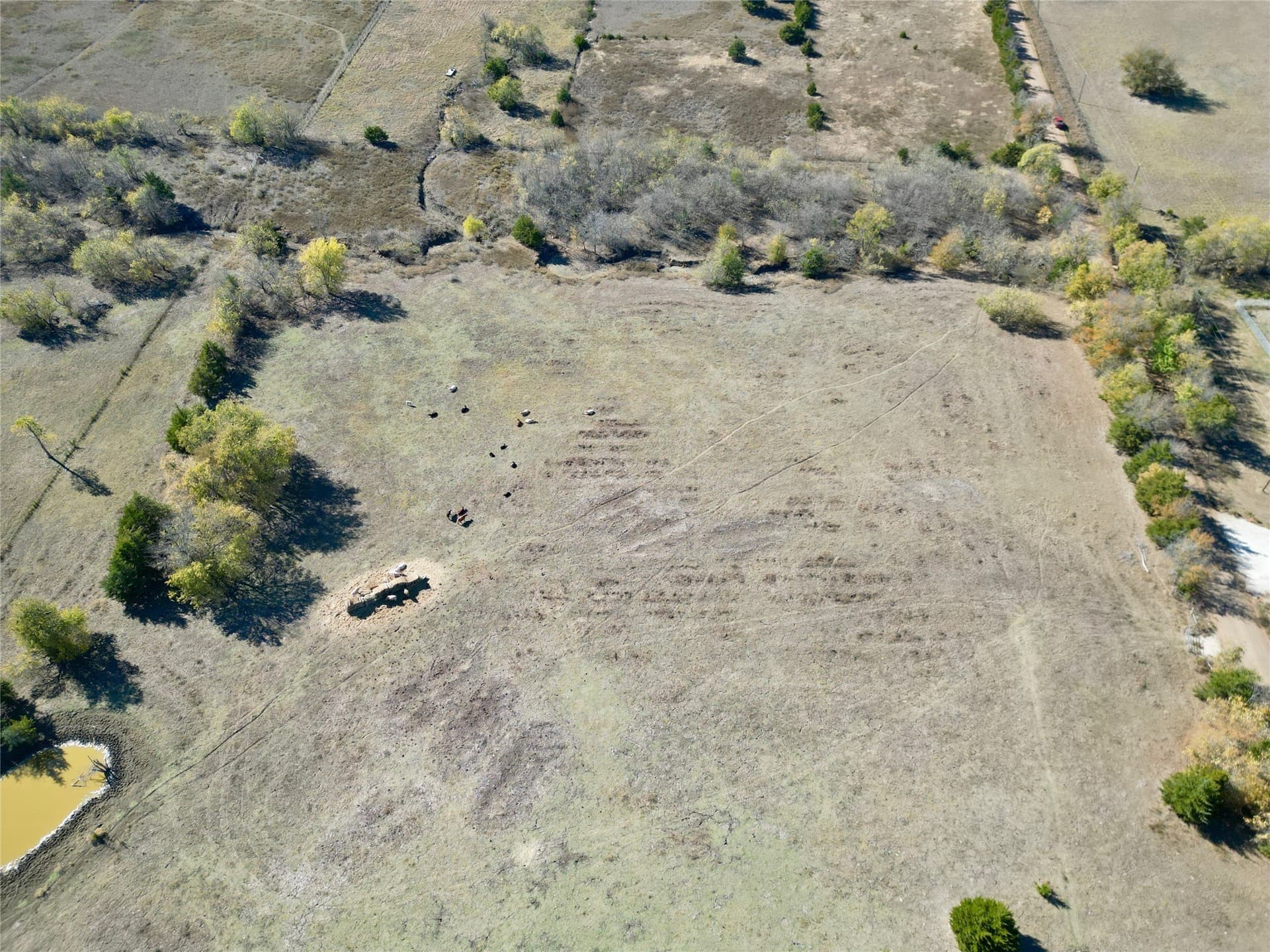 8.76 acres in Lamar County gallery image 4