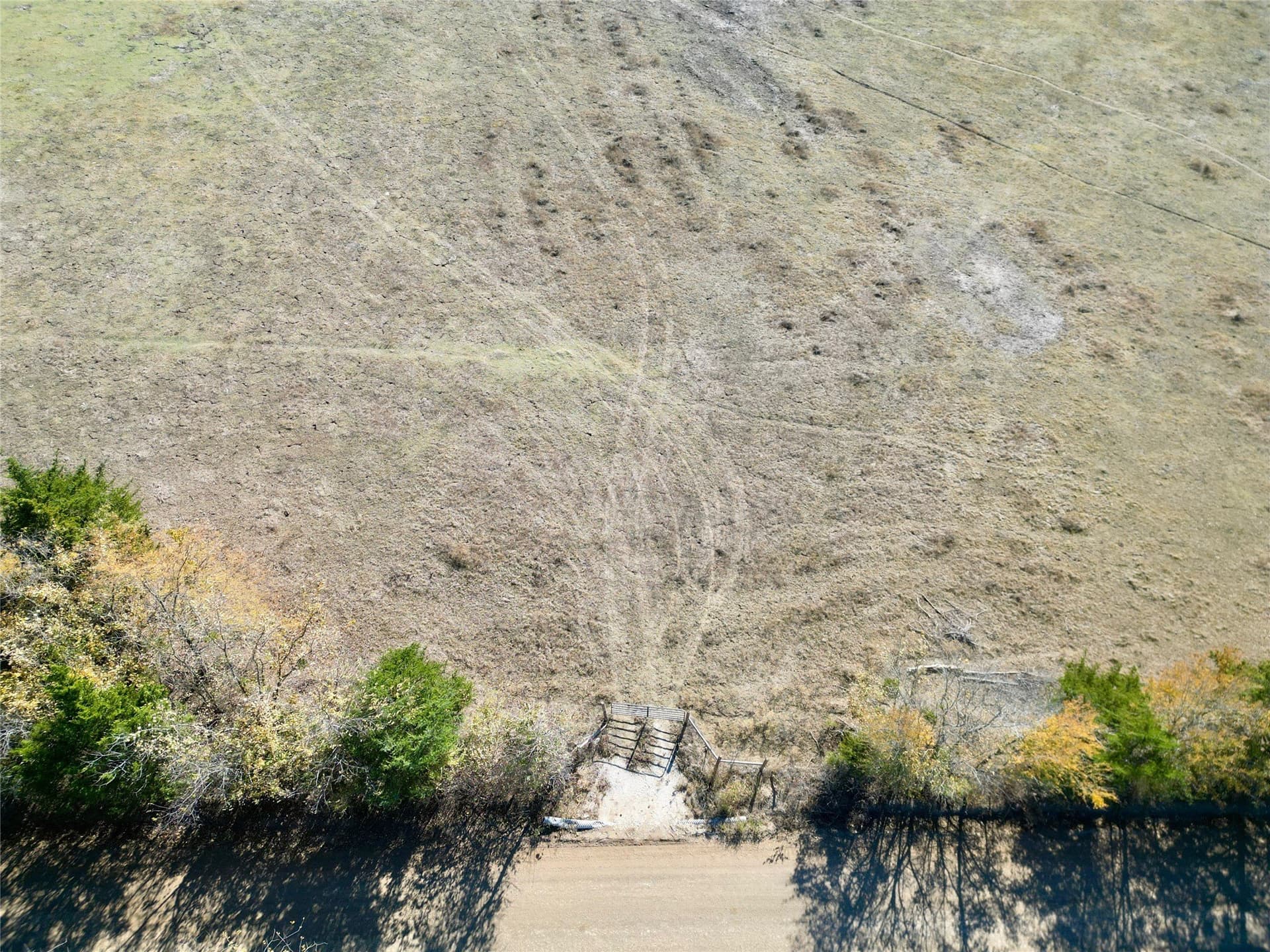 8.76 acres in Lamar County gallery image 3