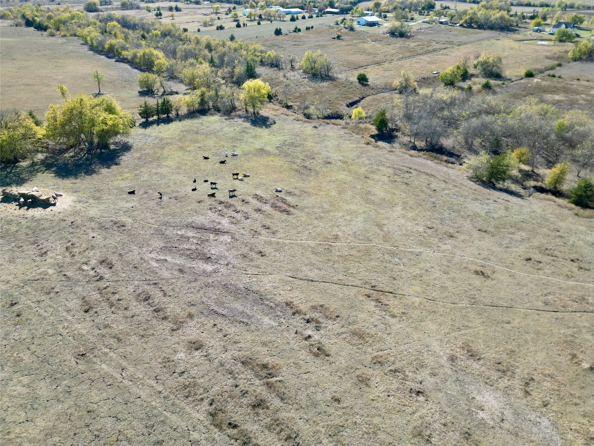 8.76 acres in Lamar County - photo 7