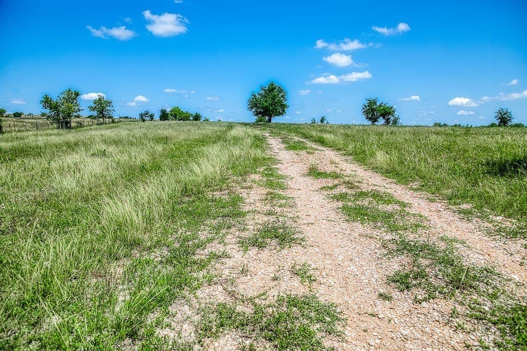 67.17 acres in Washington County gallery image 3