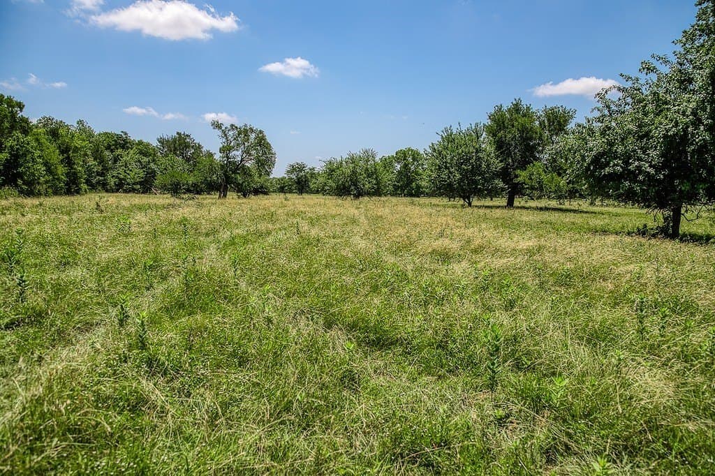 67.17 acres in Washington County featured view