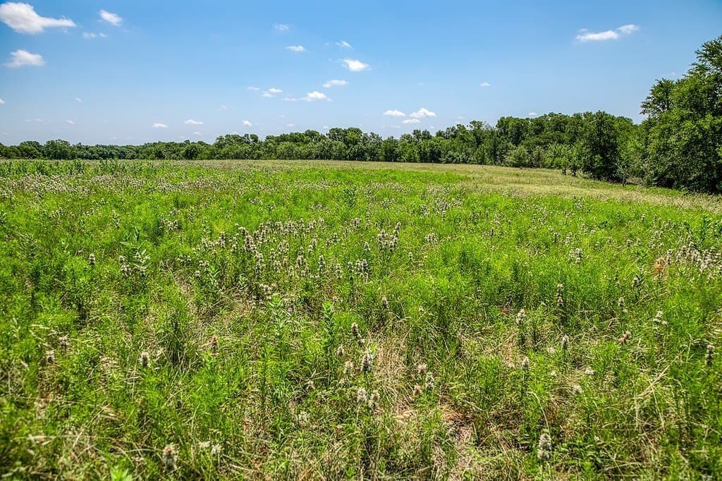 67.17 acres in Washington County gallery image 4