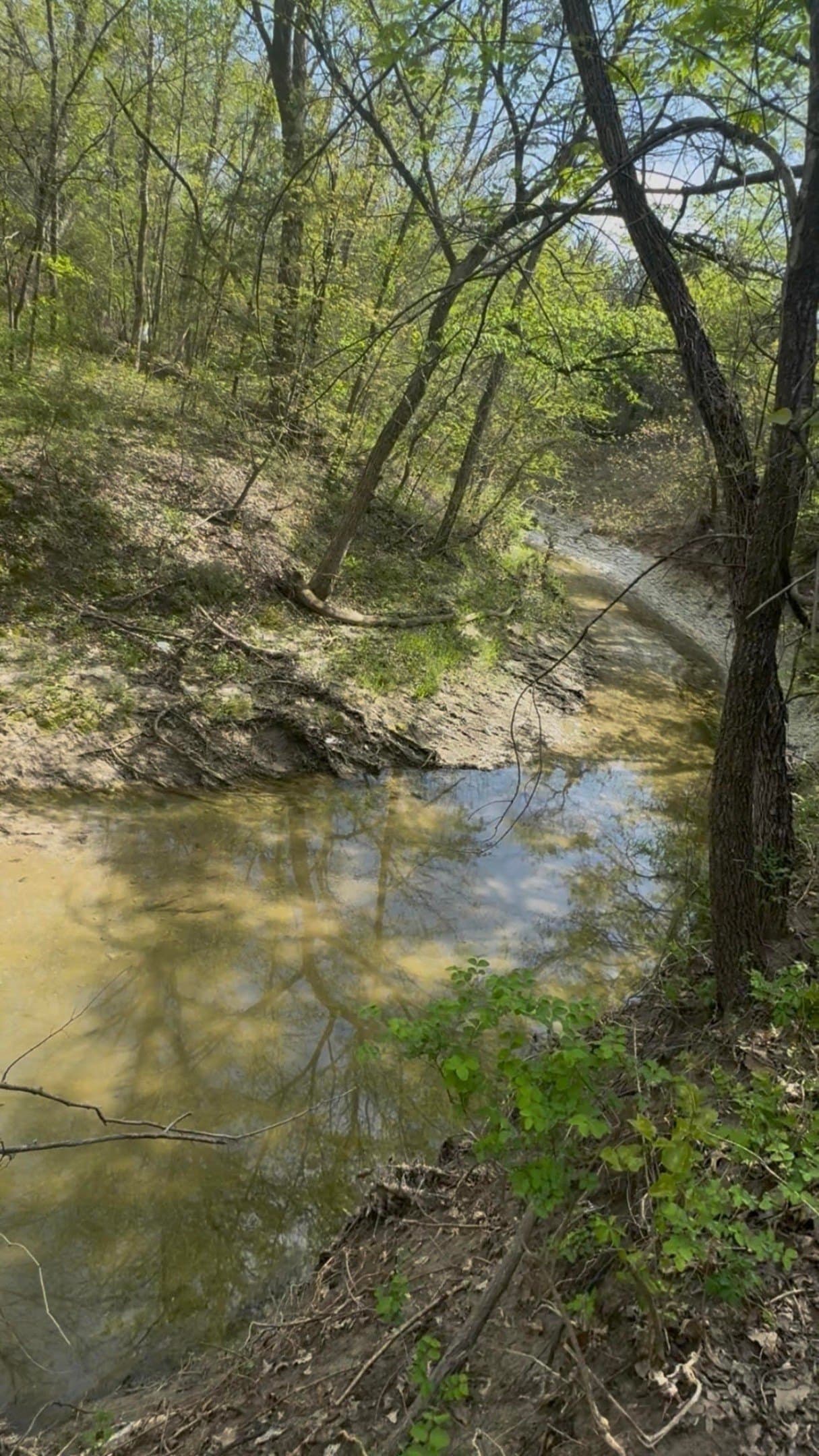 5.44 acres in Grayson County - photo 13