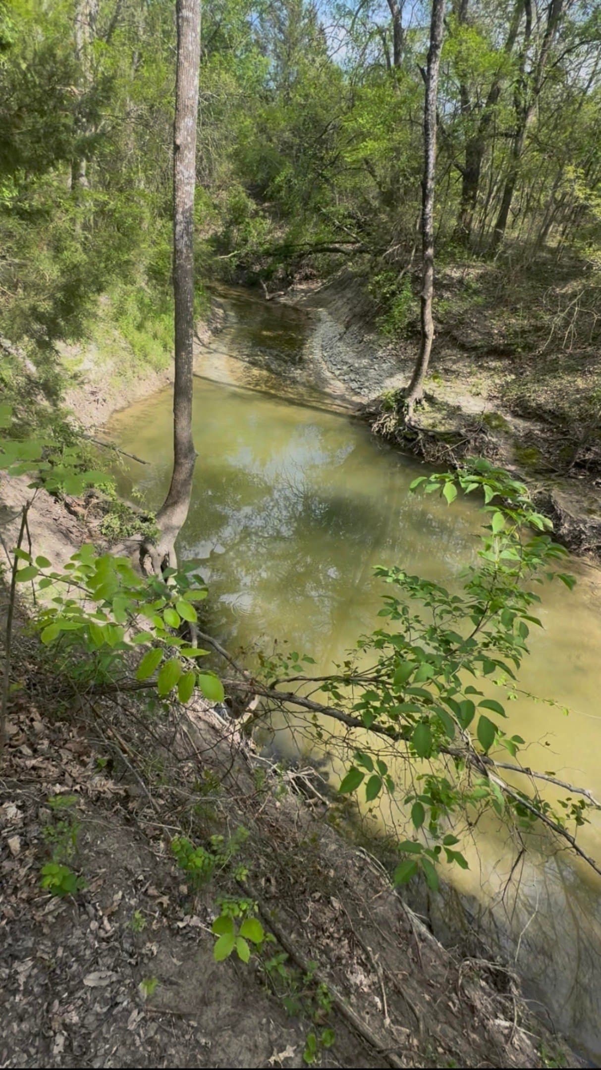 5.44 acres in Grayson County - photo 10