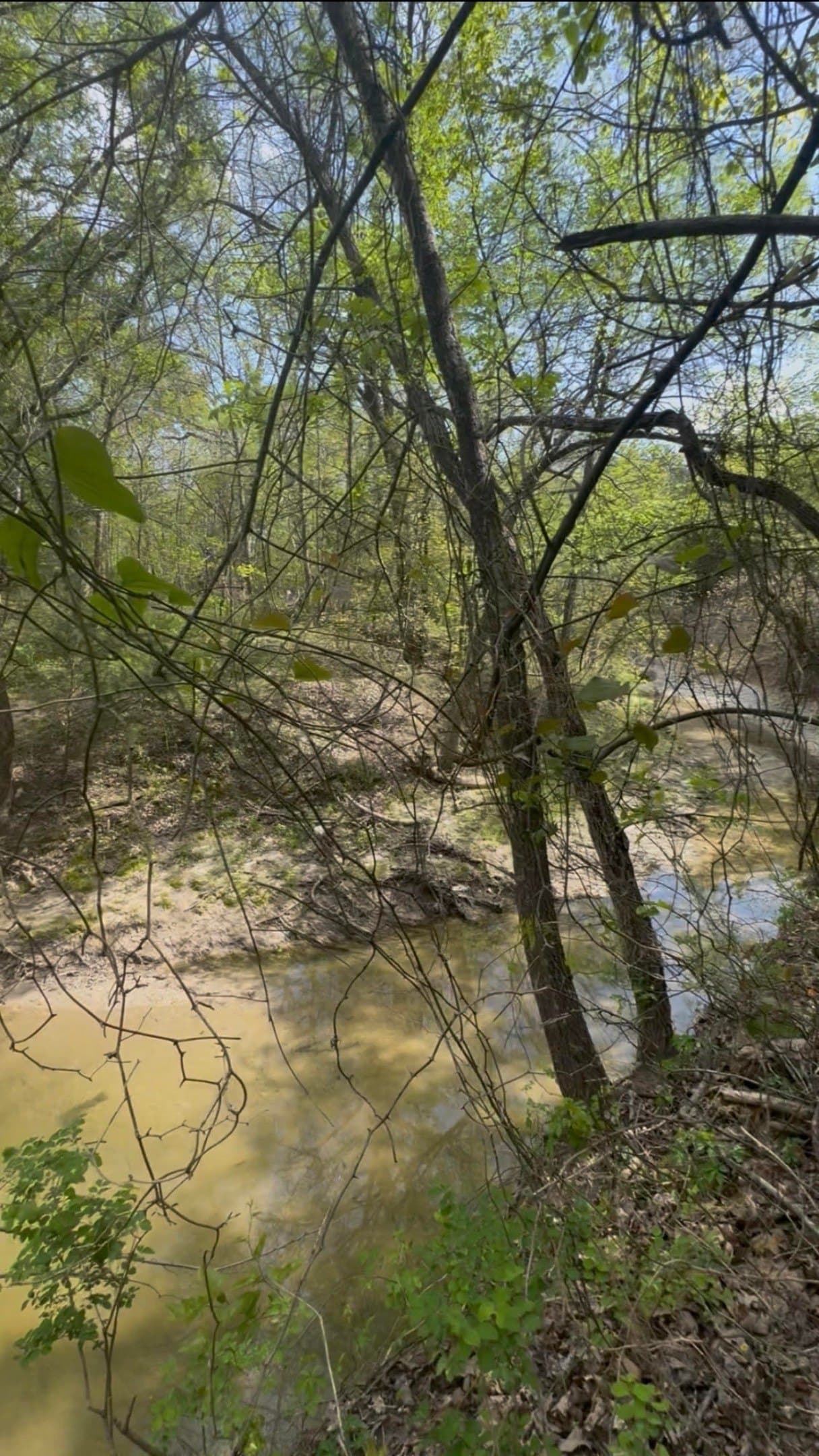 5.44 acres in Grayson County - photo 12