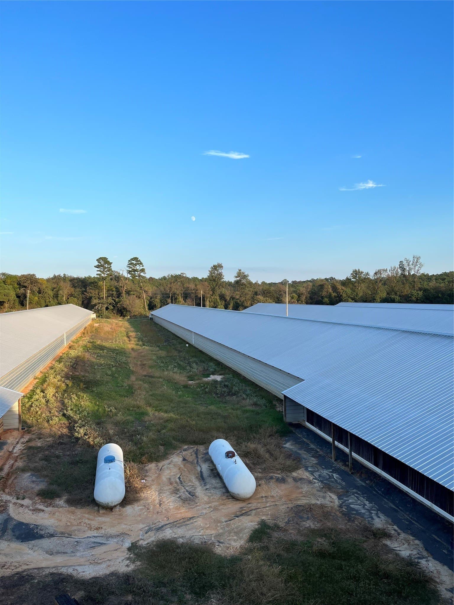 9.95 acres in Cass County gallery image 4