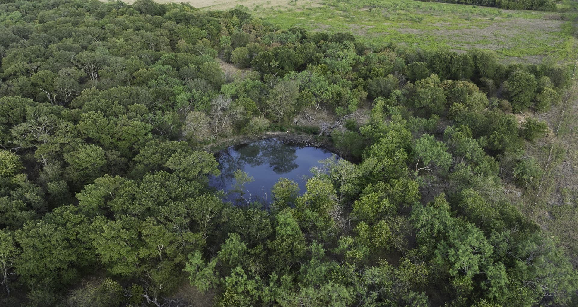 27 acres in Hill County - photo 6