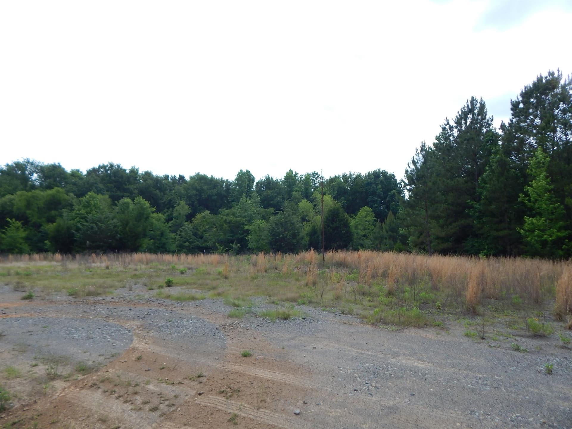 15 acres in Upshur County gallery image 3
