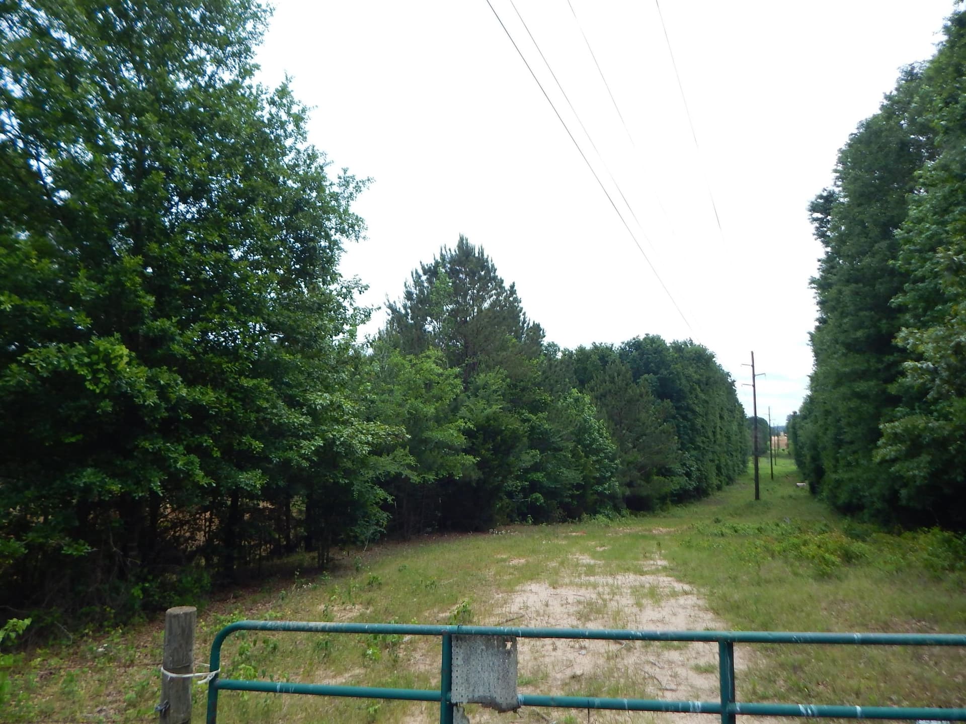 15 acres in Upshur County