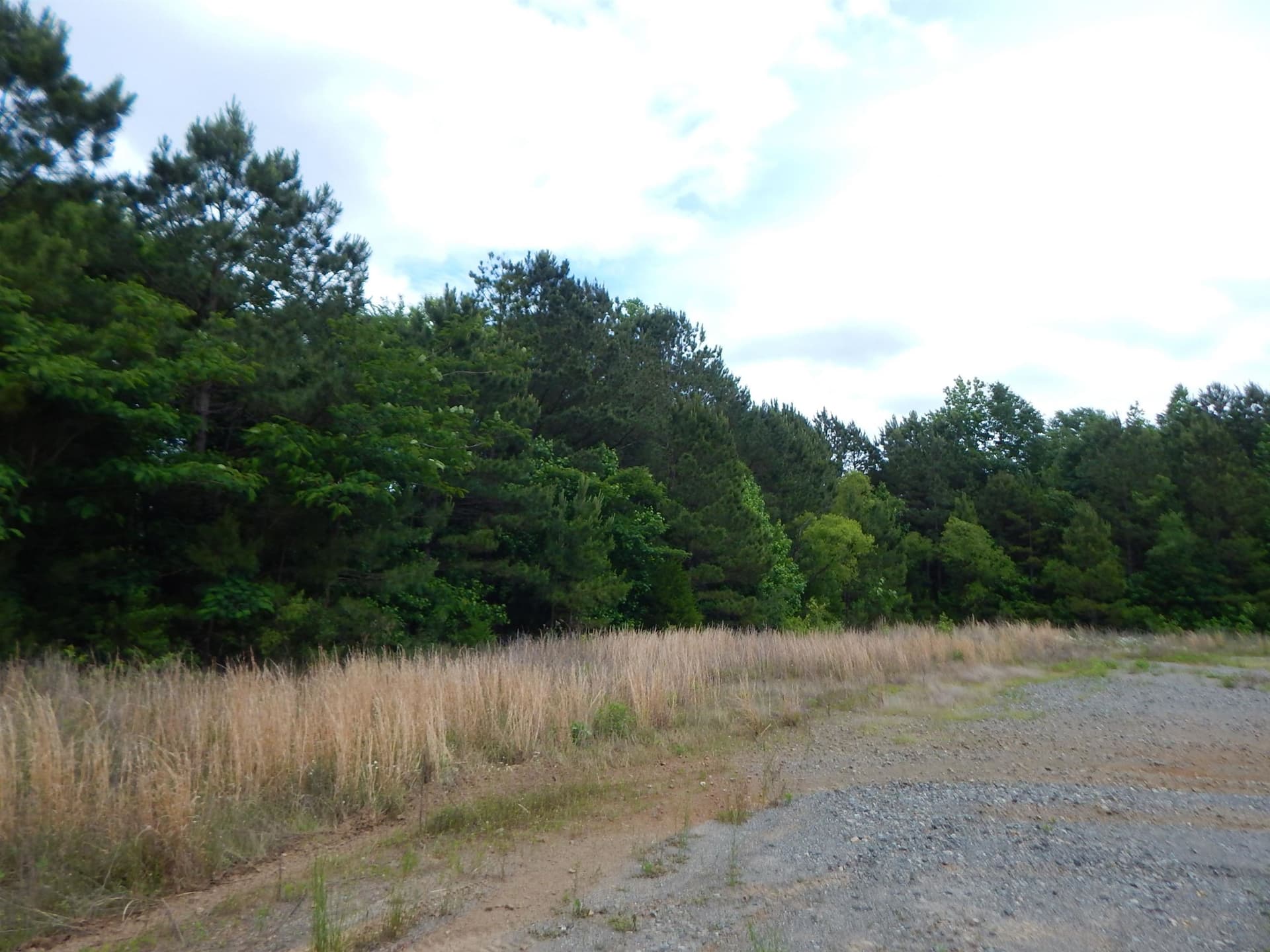 15 acres in Upshur County gallery image 4