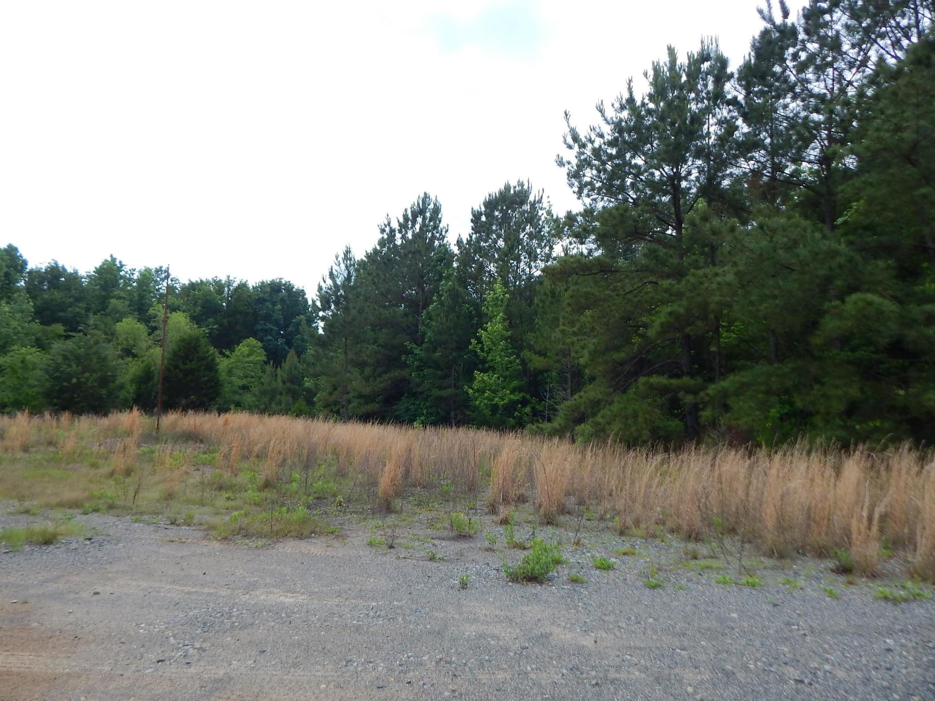 15 acres in Upshur County gallery image 2