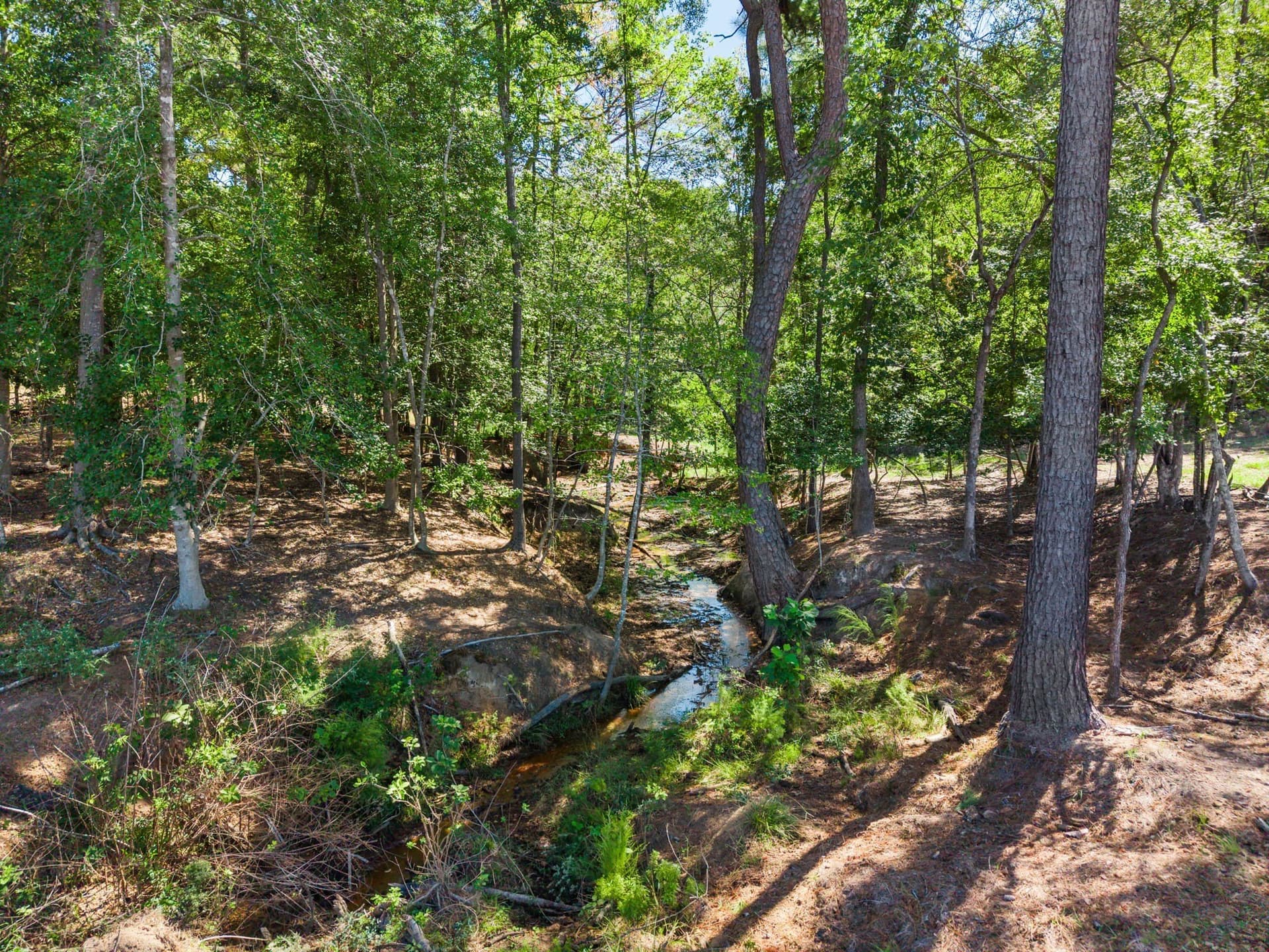 10 acres in Smith County - photo 38