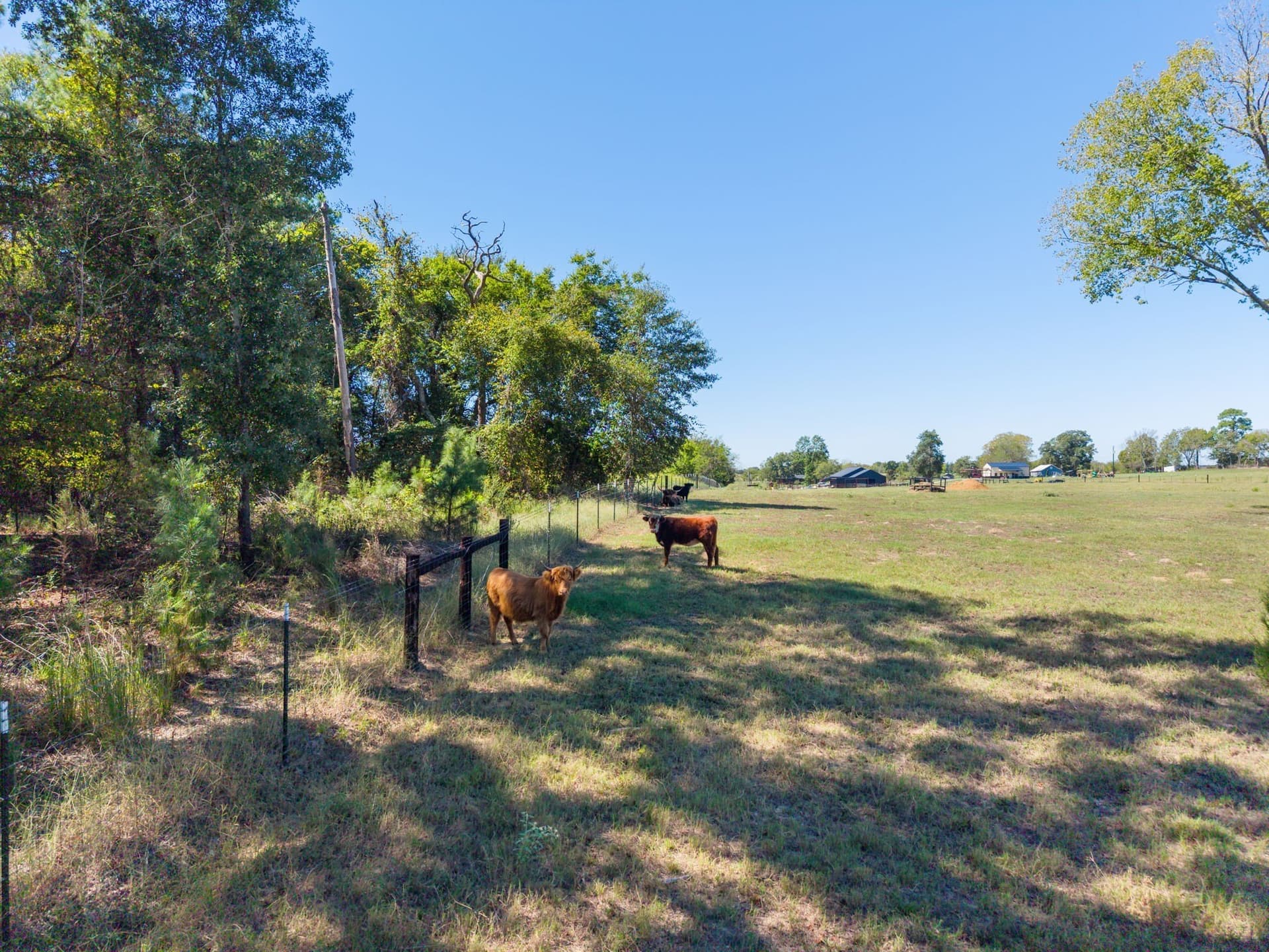 10 acres in Smith County - photo 37