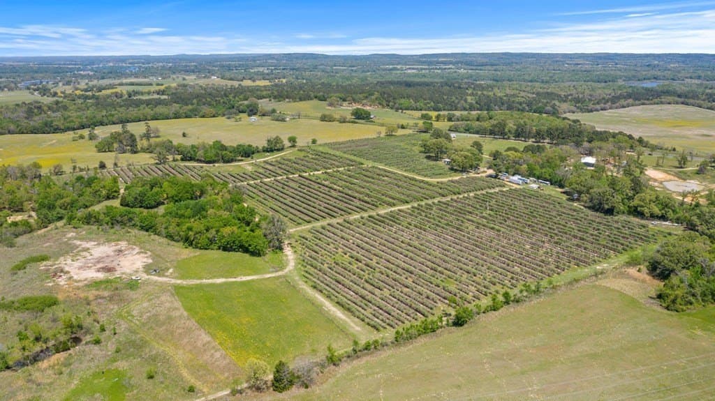 70 acres in Henderson County featured view