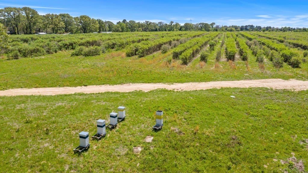 70 acres in Henderson County gallery image 4