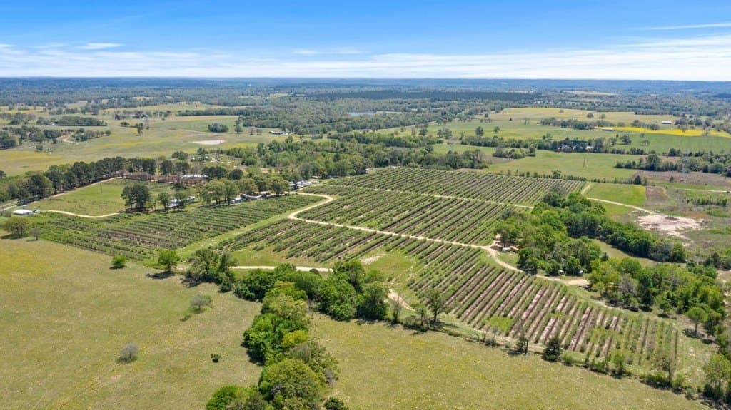 70 acres in Henderson County gallery image 3