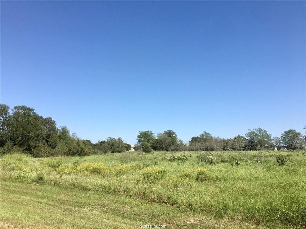1.47 acres in Grimes County gallery image 4