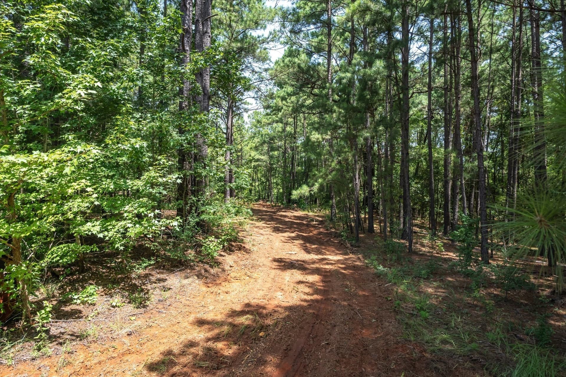 5 acres in Cherokee County gallery image 3