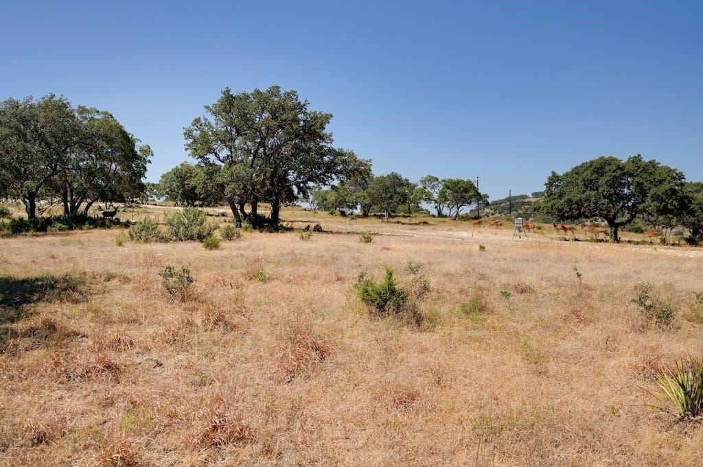 5.04 acres in Bastrop County - photo 18