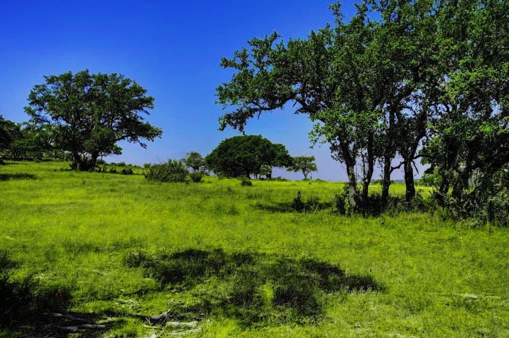 5.04 acres in Bastrop County gallery image 3