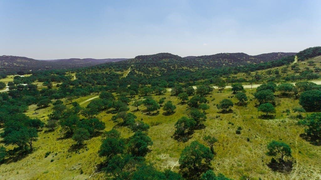 5.04 acres in Bastrop County gallery image 4