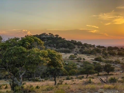 5.04 acres in Bastrop County - photo 10