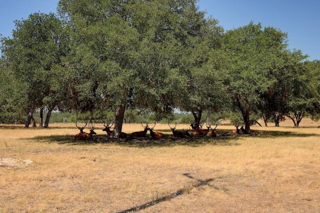 5.04 acres in Bastrop County - photo 19