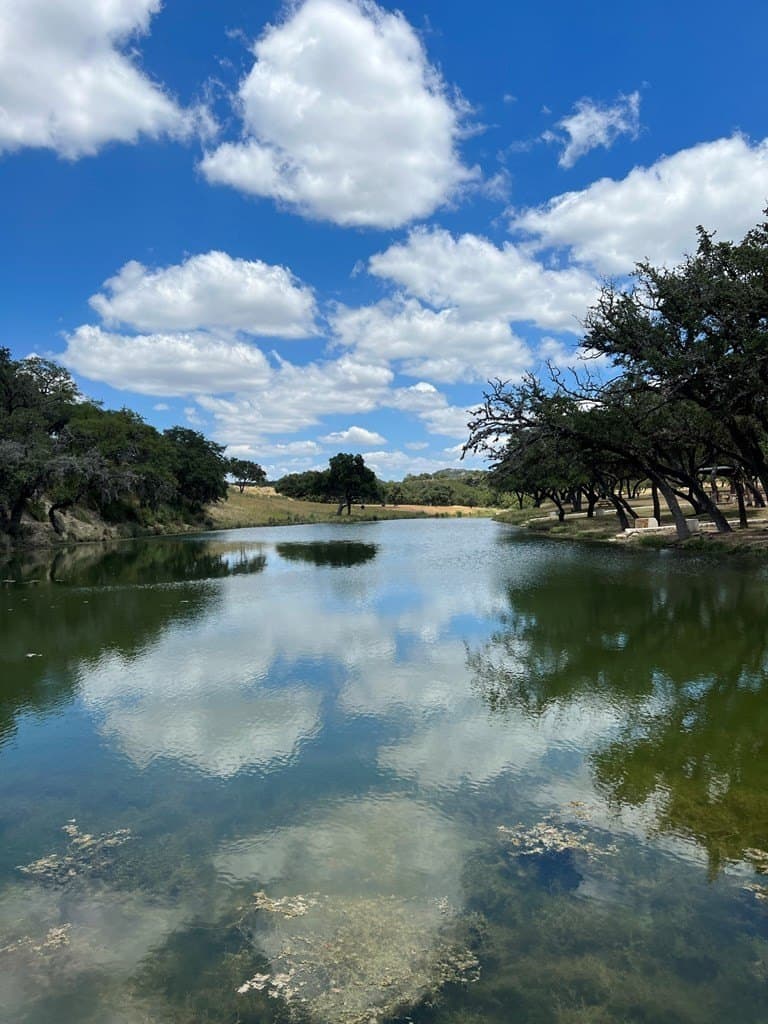 5.04 acres in Bastrop County - photo 12