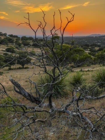 5.04 acres in Bastrop County featured view