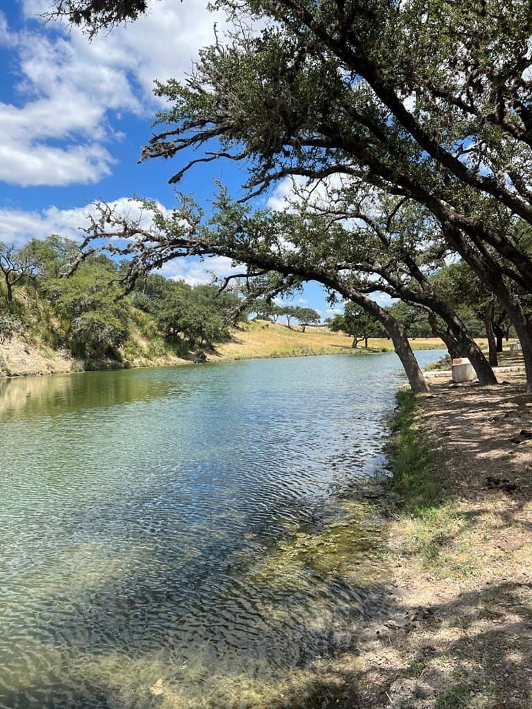 5.04 acres in Bastrop County - photo 11