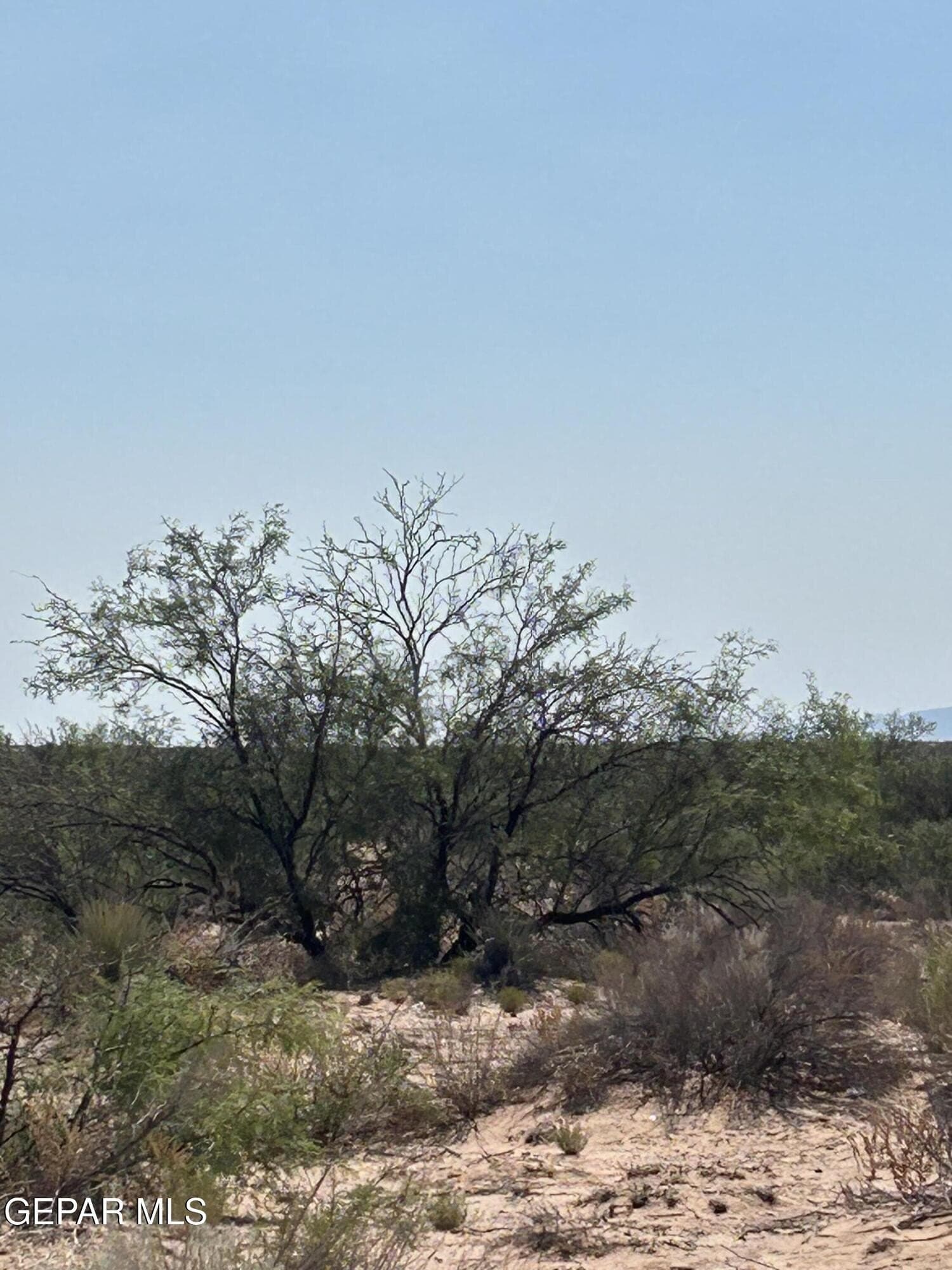0.21 acres in El Paso County - photo 6