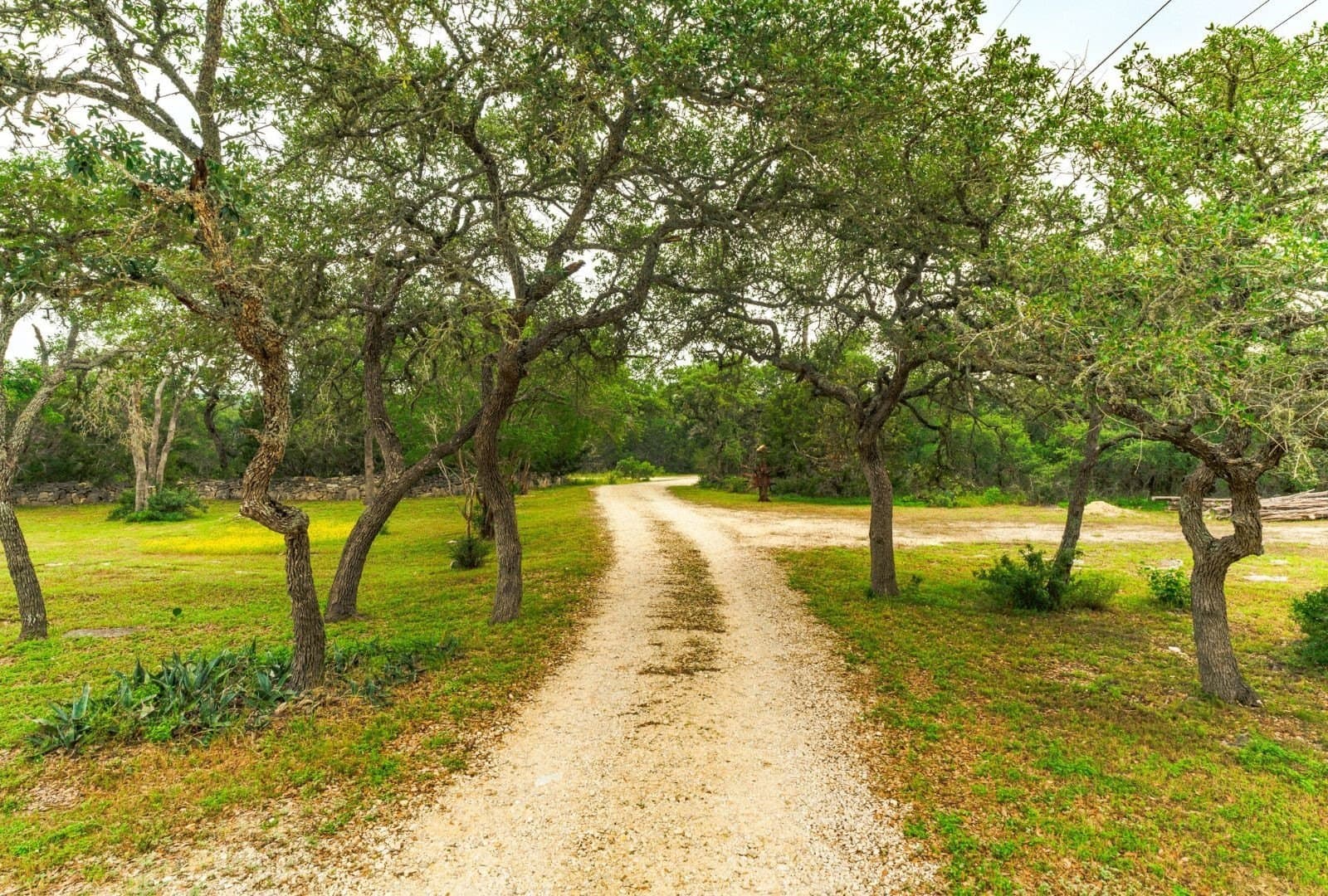 12 acres in Hays County - photo 4
