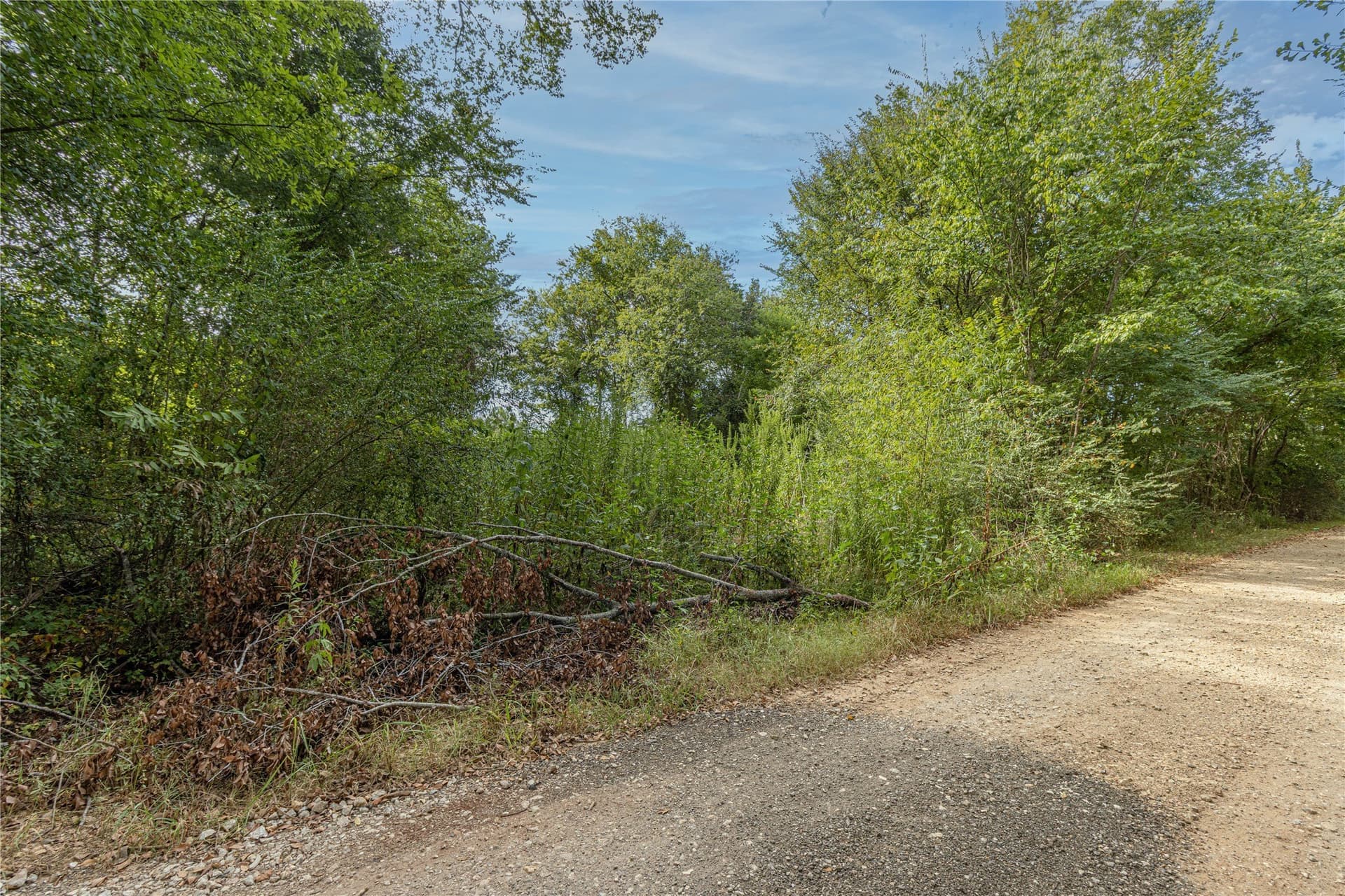0.38 acres in Cherokee County - photo 4