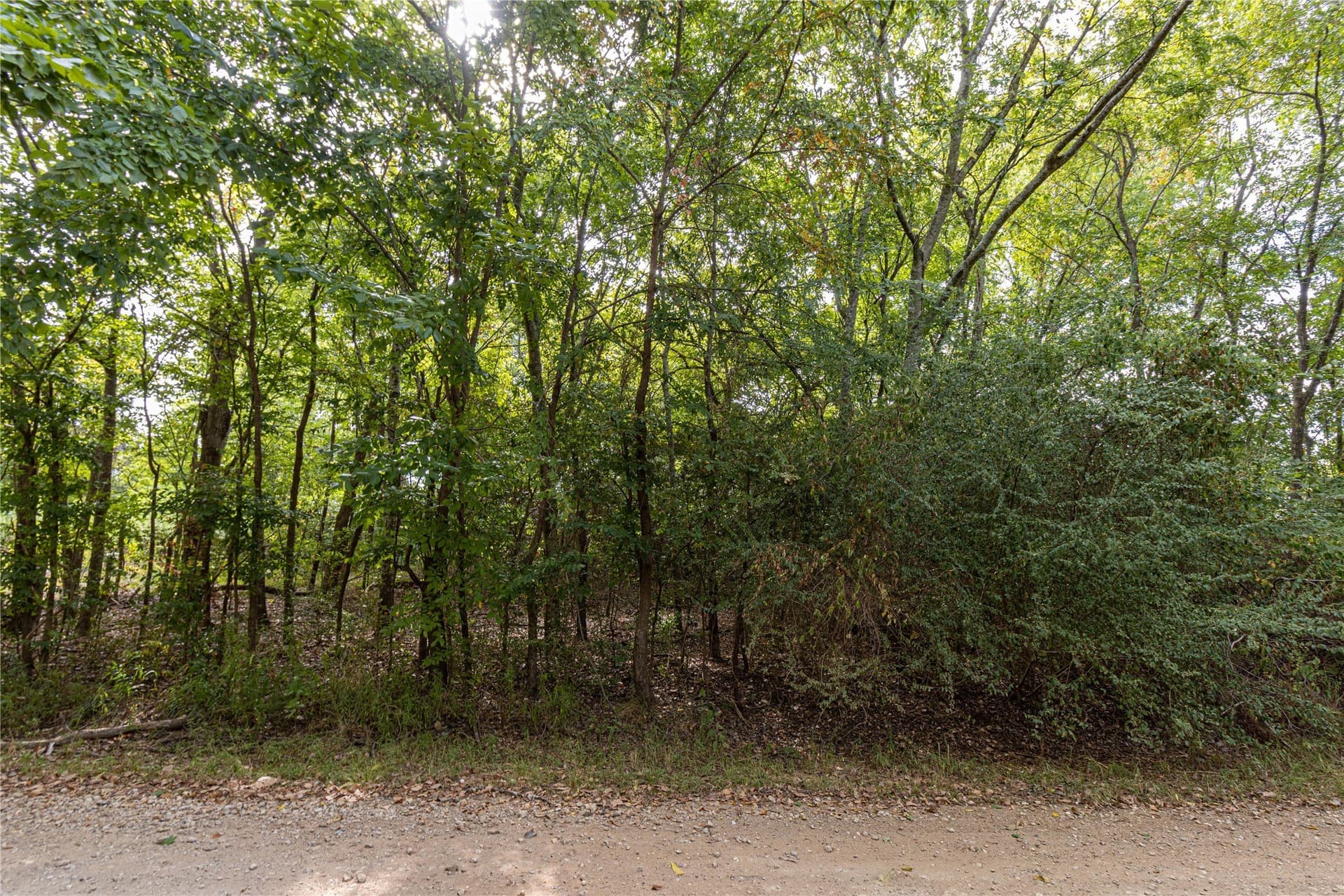 0.38 acres in Cherokee County - photo 2