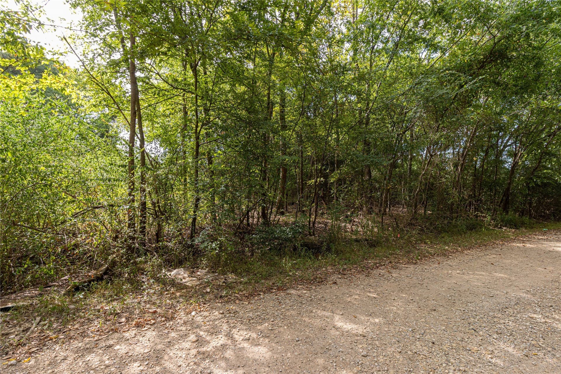 0.38 acres in Cherokee County - photo 3