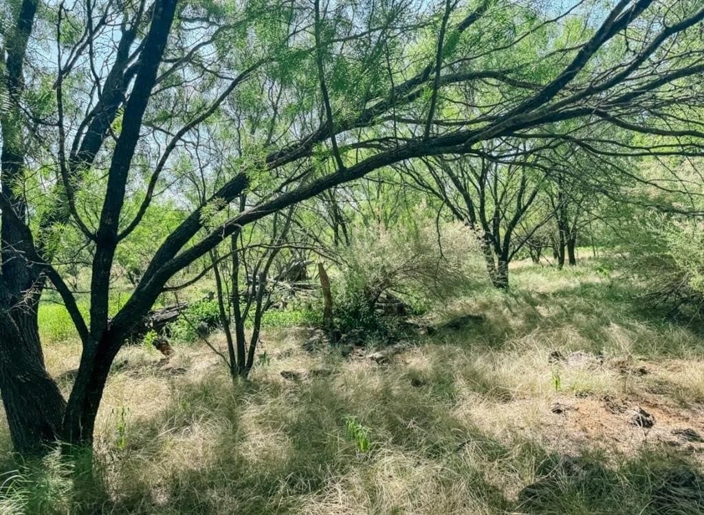 17.99 acres in Brown County gallery image 2