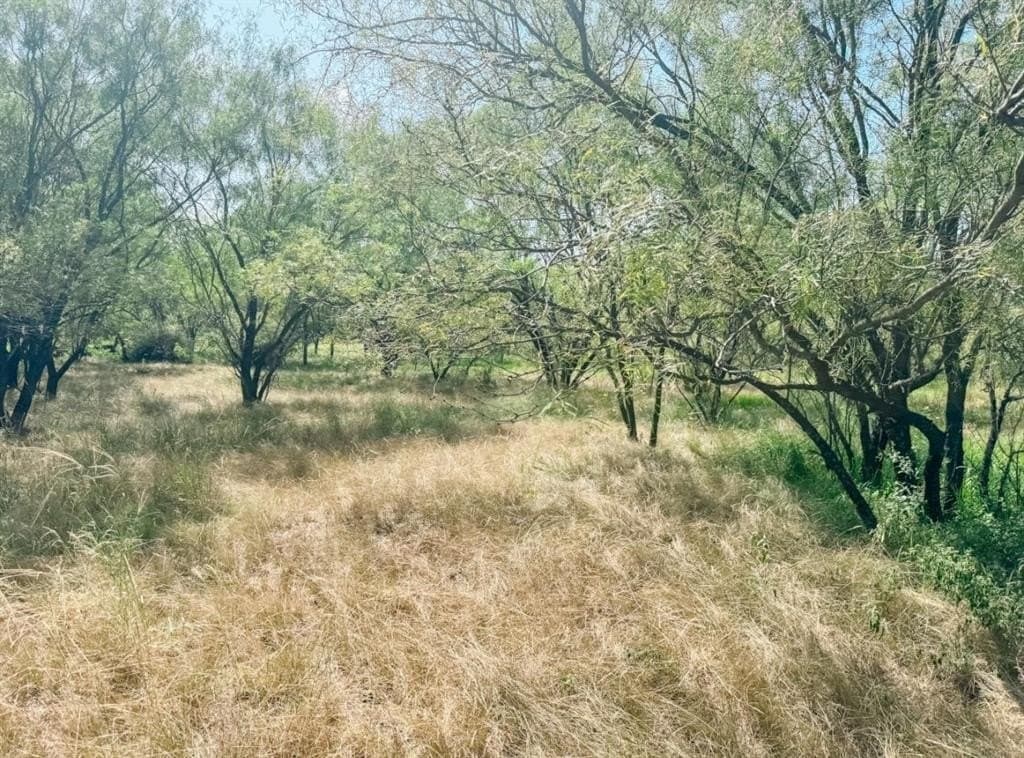 17.99 acres in Brown County gallery image 4