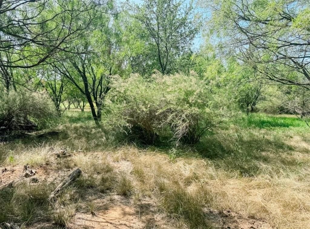 17.99 acres in Brown County gallery image 3