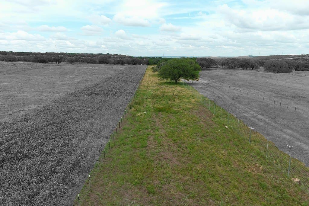 23.38 acres in Kendall County gallery image 3