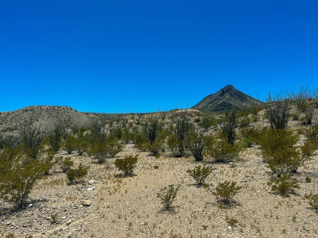 40.1 acres in Brewster County featured view
