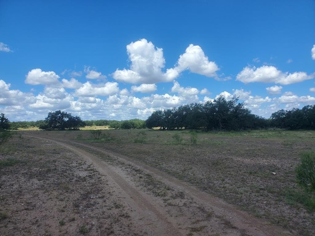 19.3 acres in Menard County