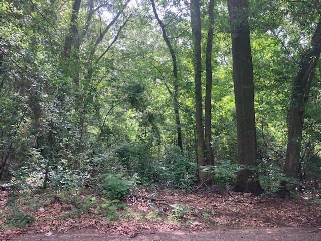 0.37 acres in Smith County - photo 5